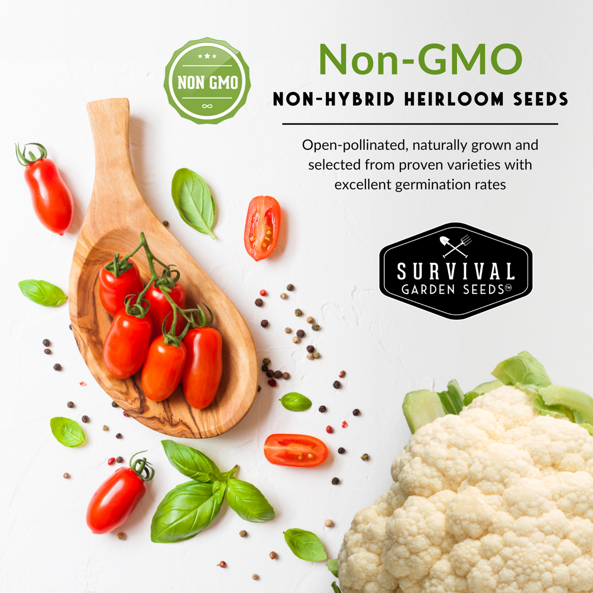 10 Heirloom Non-GMO Vegetable Seed Collection – Open-Pollinated Varieties for Home Gardens