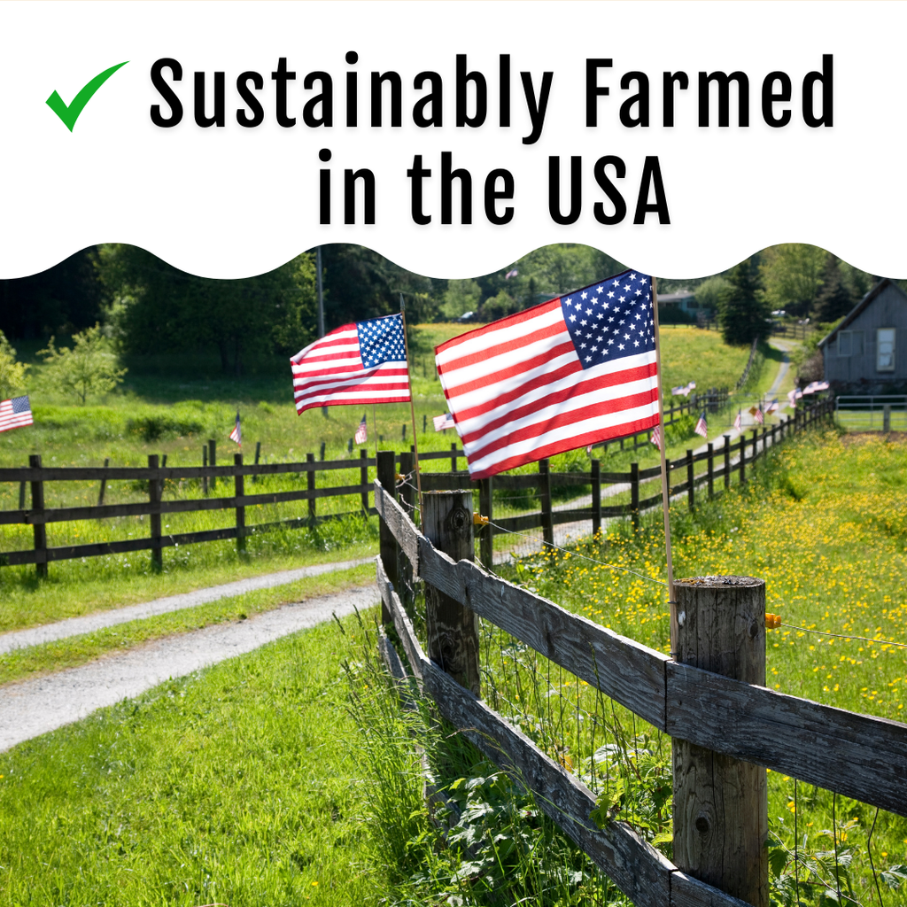 GrubFuel Black Soldier Fly Larvae for Chickens