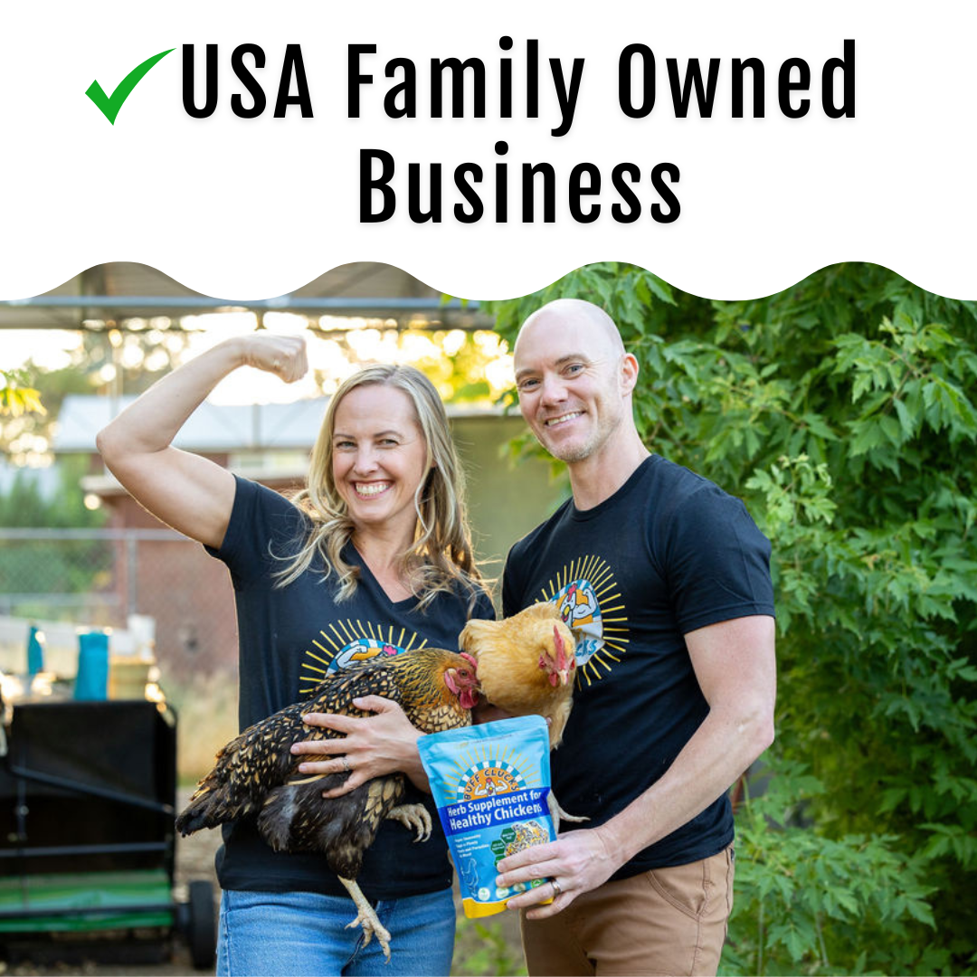 GrubFuel Black Soldier Fly Larvae for Chickens