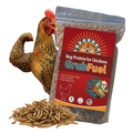GrubFuel Black Soldier Fly Larvae for Chickens