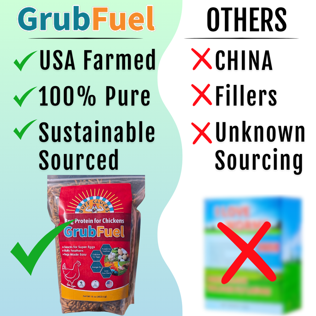 GrubFuel Black Soldier Fly Larvae for Chickens