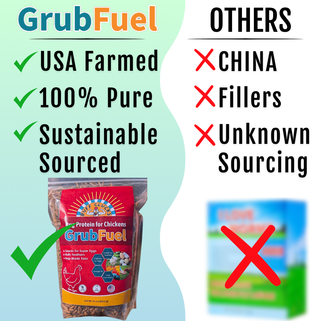 GrubFuel Black Soldier Fly Larvae for Chickens