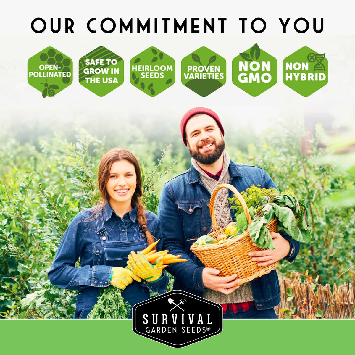 10 Heirloom Non-GMO Vegetable Seed Collection – Open-Pollinated Varieties for Home Gardens