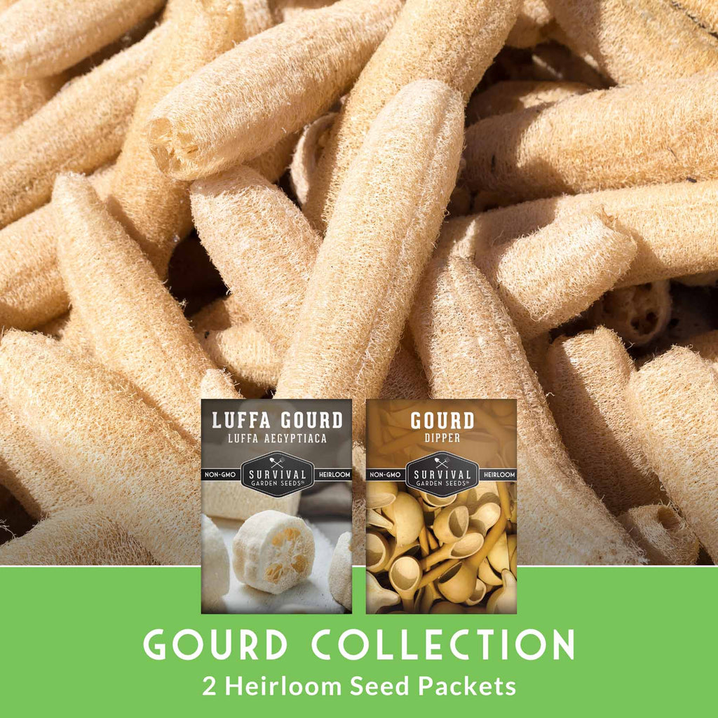 Gourd Seed Collection – Dipper Gourds & Luffa (Loofah) Gourds for Crafting, Utility & Eco-Friendly Uses