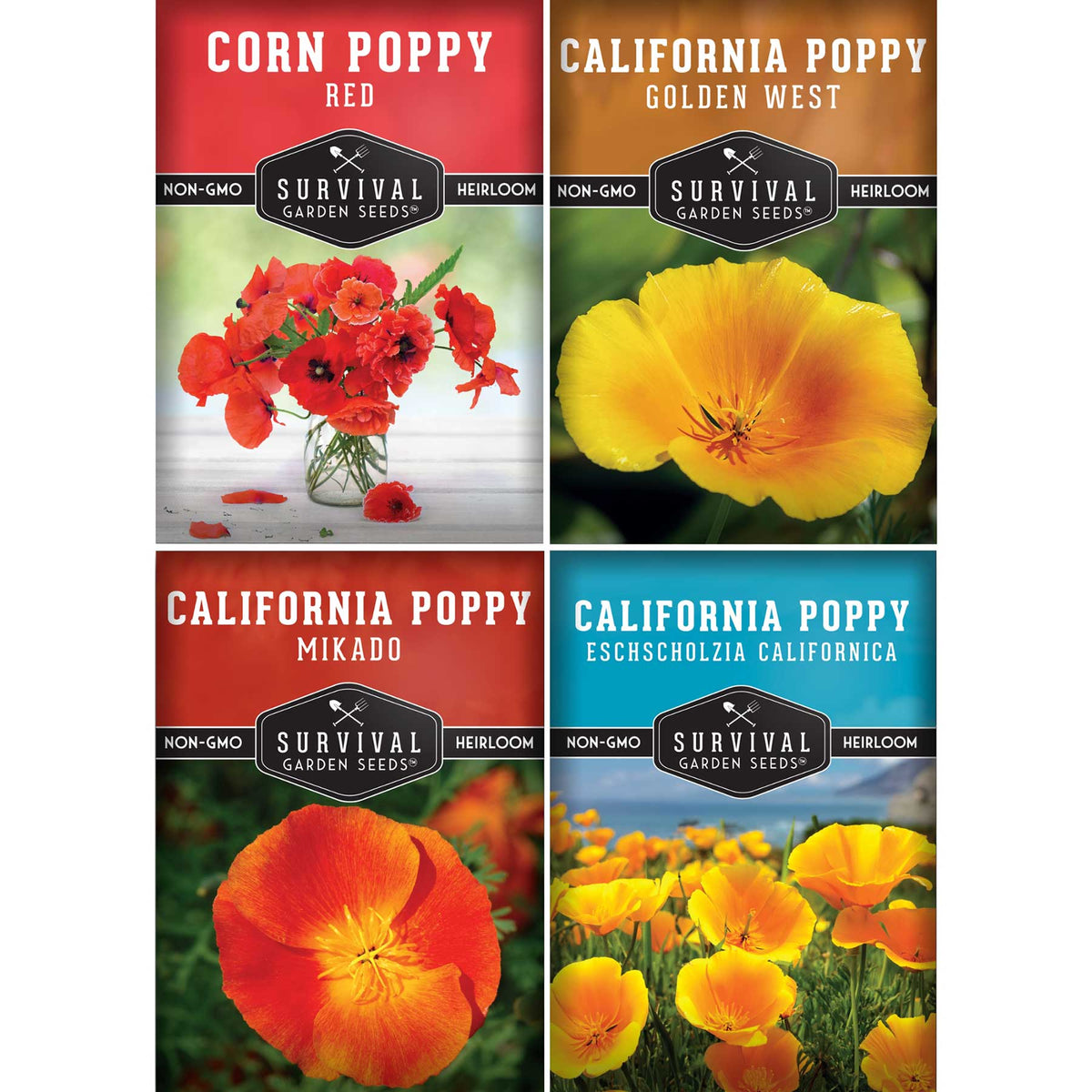 Poppy Seed Collection – California Poppy Trio & Flanders Poppy for Vibrant, Pollinator-Friendly Blooms