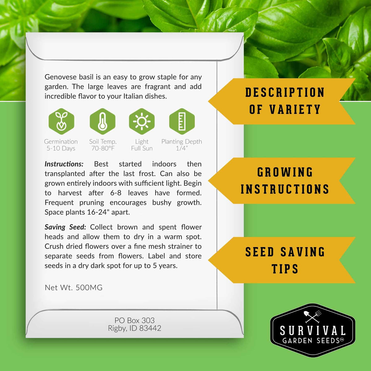 Popular Herb Seed Collection – 5 Heirloom Non-GMO Herbs for Culinary & Garden Use (Spearmint, Basil, Cilantro, Lavender & Parsley) – Indoor or Outdoor Growing Kit
