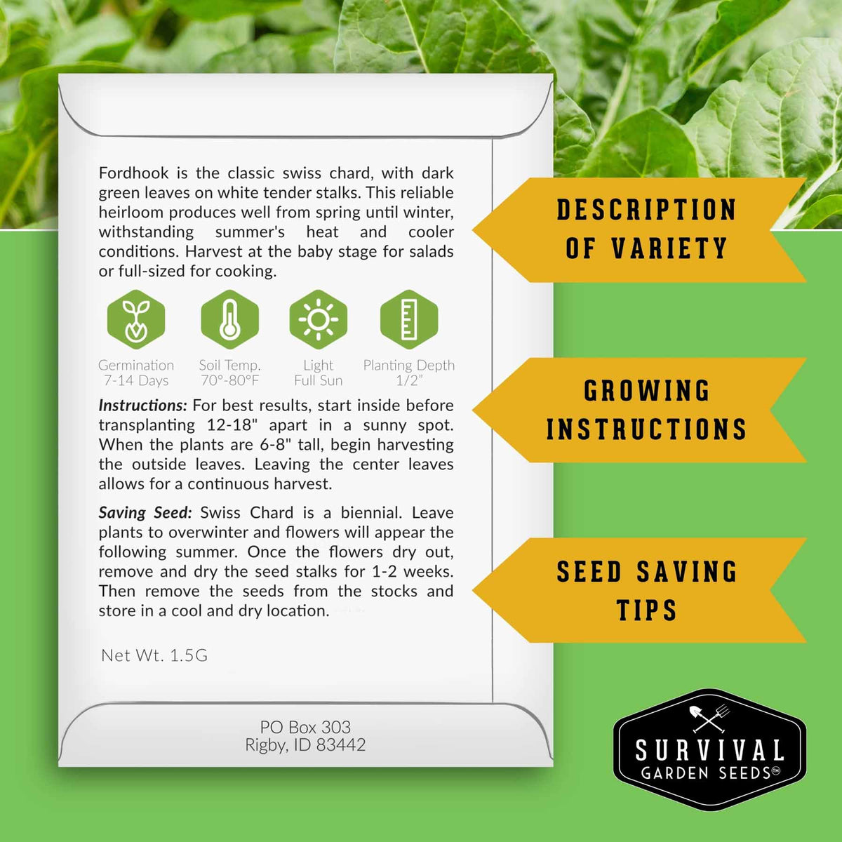 Swiss Chard 3 Variety Seed Collection – Rainbow, Ruby Red, and Fordhook Giant Heirloom Greens for Continuous Harvests